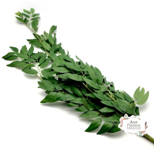 merceria-online-chiaravalle-maruska